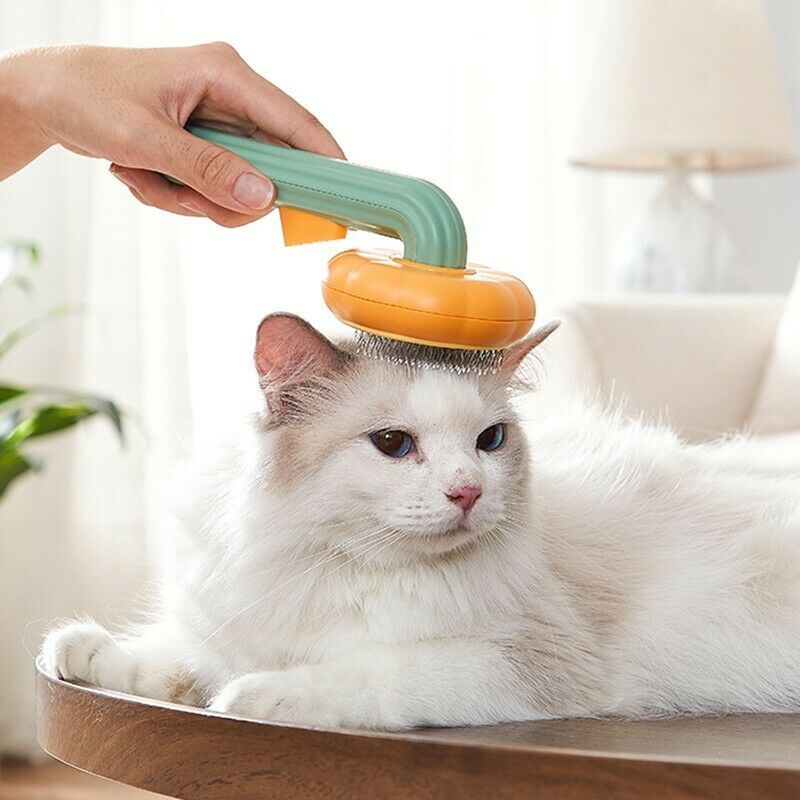 FurPumpkin